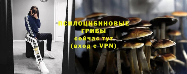 таблы Алексин