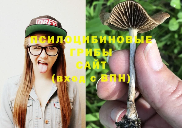 прущие крисы Алексеевка
