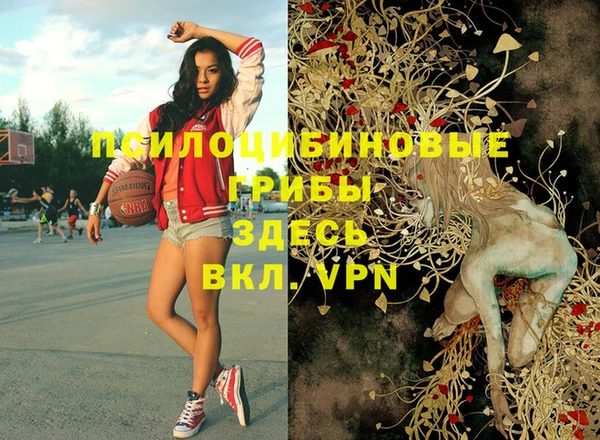 прущие крисы Алексеевка